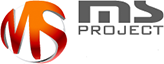 Стратегическим направлением деятельности MS Project является тентованный транспорт, включая обмен поддонов и ADR.